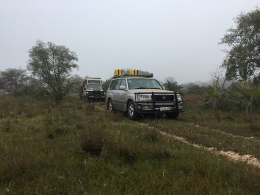 The convoy of Cruisers makes its way across the misty floodplains of Banhine.