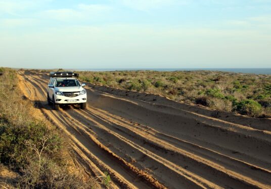 Caracal 4x4 track