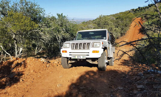 Budget 4x4s
