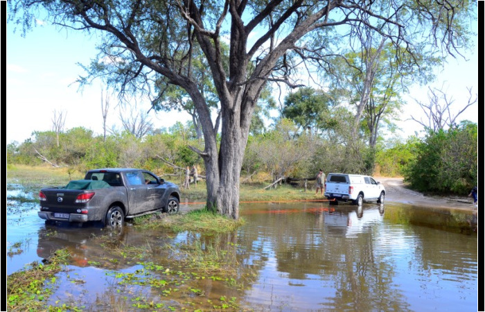 Botswana Dust & Glory: Pulled through Botswana Dust & Glory: Pulled through