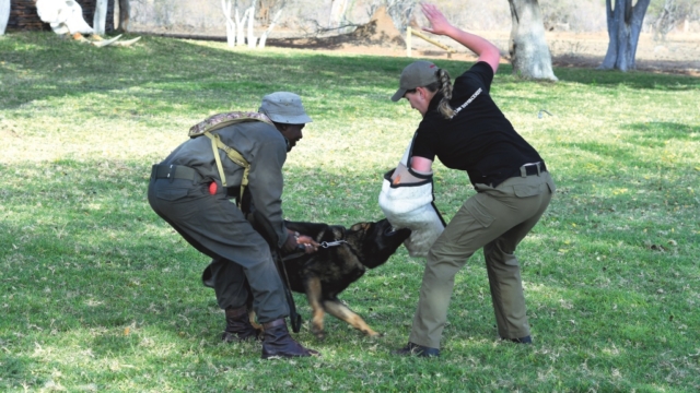 Game Watch: Man's Best Friend Game Watch: Man's Best Friend