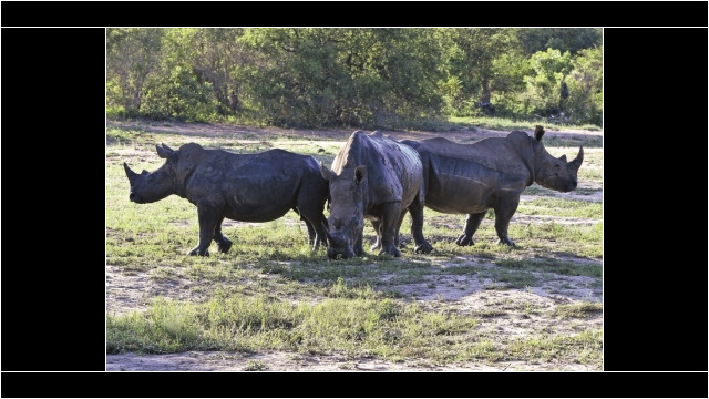 GAME WATCH: SUSTAINABLE UILISATION