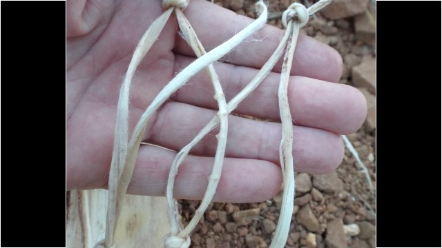 The end result. Natural cordage The end result. Natural cordage