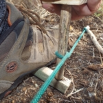 (2) Draw the bow back and forth several times until the drill seats itself and has scorched the surface of the working end