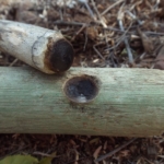 (3) Spindle has been seated