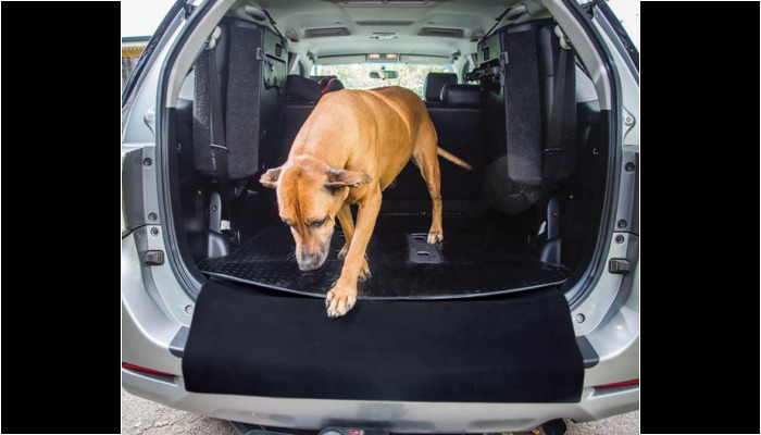 Bumper guard dog Bumper guard dog