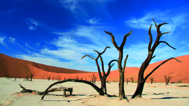 Deadvlei