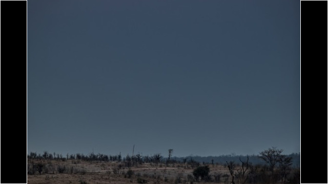 Game counts are conducted during a full moon at the peak of the dry season, to ensure maximum visibility and the most sightings.