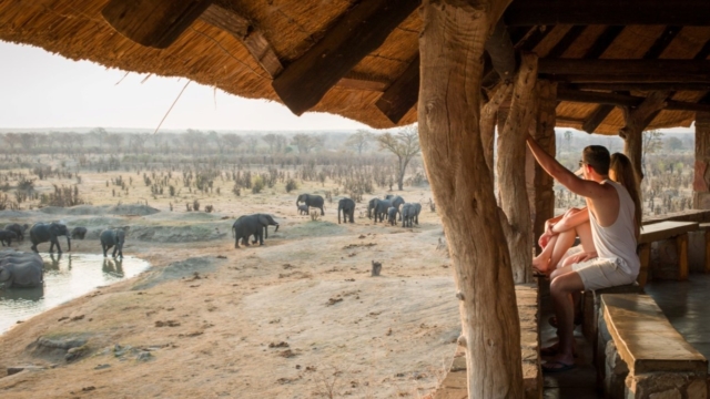 Several of the busiest waterholes feature nice hides like this one.